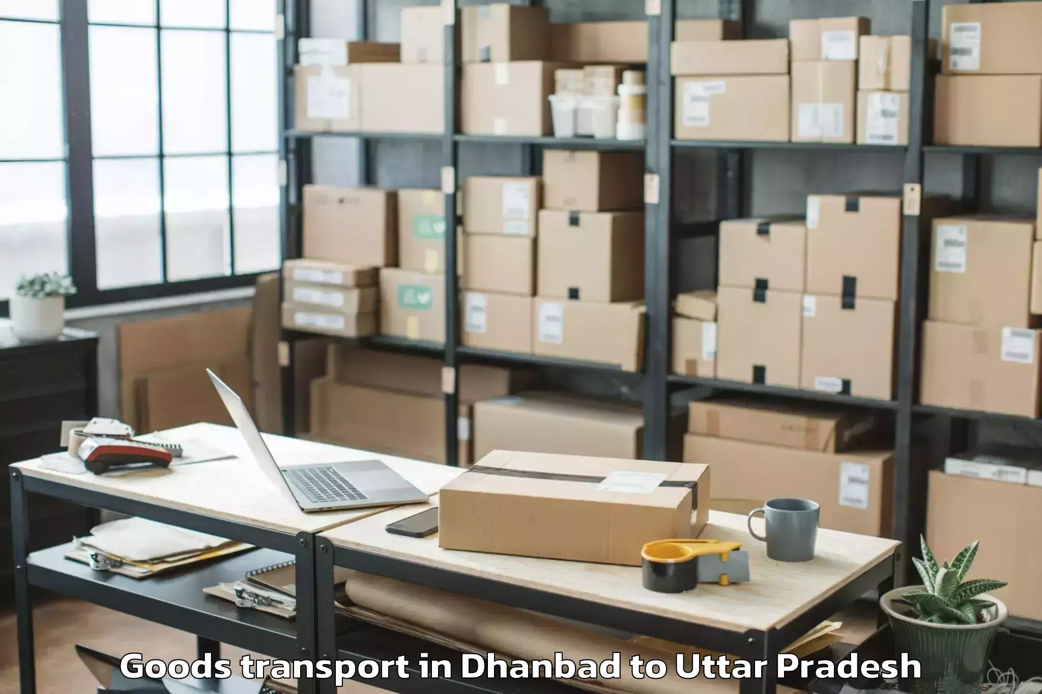 Affordable Dhanbad to Bajna Goods Transport